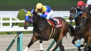 23年阪神牝馬Sを制したサウンドビバーチェが登録抹消 三嶋牧場で繁殖入り