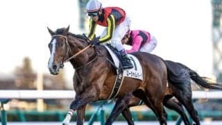 【AI予想・毎日王冠】1番人気が圧倒する伝統の一戦！ 人工知能の本命は世界進出を見据える実力馬