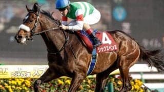 【今日の注目ポイント】東京で毎日王冠、京都で京都大賞典、フランスで凱旋門賞