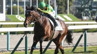 【京都大賞典予想】秋のGIを占う重要な一戦 スピードの持続力と瞬発力求められるコースを制すのは