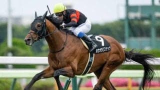 【毎日王冠予想】各路線から秋の大舞台を目指す馬たちが集結 広いワンターンコースを制するのは？