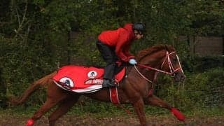 凱旋門賞に挑むシンエンペラーの状態はいかに!?　そして悲願達成への「意外な」ライバルとは？