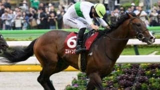 【毎日王冠予想】例年の勝ちパターン馬不在で荒れるレースに？ 過去データから探るGII毎日王冠