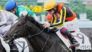 半姉はGI・3勝マイルの名牝 ソニックラインがダート替わりで2勝目なるか