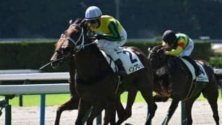 【京都4R新馬戦結果】リオンディーズ産駒インフローレが人気に応えてV