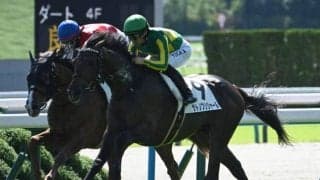 【京都5R新馬戦結果】エピファネイア産駒サトノブリジャールが人気に応え差し切りV