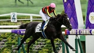 【新馬/東京5R】アエロリット半弟 ガルダイアが人気に応える