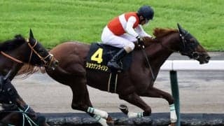 【グリーンチャンネルC】柴田善臣騎乗 伏兵ショウナンライシンが最内強襲