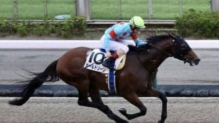 【東京12R】ルメールが本日6勝目…ボールドゾーンで圧勝