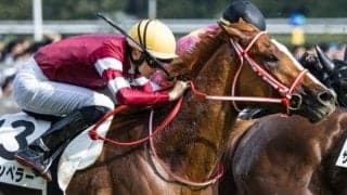 【凱旋門賞】国内外オッズ比較 シンエンペラーは国内4.7倍、海外8.5倍