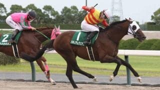 【シリウスS】トップハンデ59.5kg ハギノアレグリアスが連覇