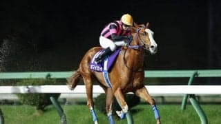 【ネクストスター盛岡】ポマイカイが重賞初制覇…高松「最高の形で勝てた」