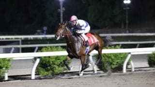 【高知・潮菊特別】リケアカプチーノが4馬身差完勝…赤岡「楽に追走できた」