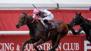 【仏・凱旋門賞結果】牝馬ブルーストッキングがV シンエンペラーは12着、アルリファーは11着