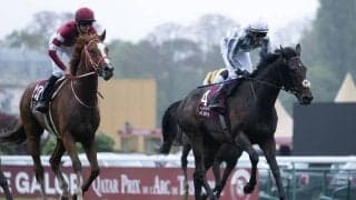 【凱旋門賞】矢作師「しっかり勝てるようにやり直していきたい」シンエンペラーは伸びきれず