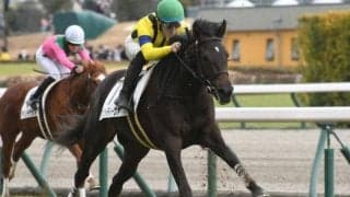 【府中牝馬S見どころ】得意距離でマスクトディーヴァが巻き返す