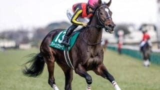 【秋華賞見どころ】クイーンズウォークが最後の一冠制覇を狙う