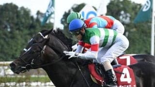 【京都大賞典】売上は53億4477万6000円で昨年より約19億円の大幅減