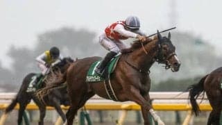 【サウジアラビアRC】売上は23億5444万2700円で昨年より約9億円減少