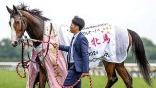 【秋華賞想定騎手】チェルヴィニアはC.ルメール騎手、ステレンボッシュは戸崎圭太騎手