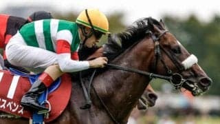 【毎日王冠】売上は71億626万9100円で昨年より約11.5億円減少