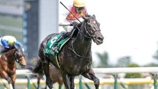 【東京ハイJ想定騎手】ジューンベロシティは高田潤騎手、ニシノデイジーは五十嵐雄祐騎手