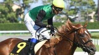 【先週のJRA抹消馬】“幻のGI馬”ことクリノガウディー、22年浦和記念の覇者クリノドラゴンなど
