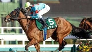 【AI予想・秋華賞】前走での結果や生産牧場に注目！ 三強ムードも人工知能は波乱を示唆