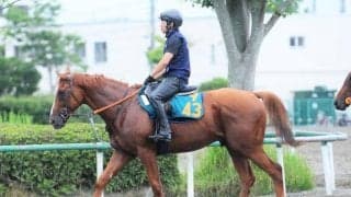 母リリーノーブルはGIで何度も好走 初仔デンクマールが東京で初陣/関東馬メイクデビュー情報