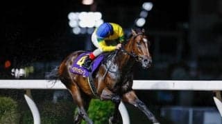 【川崎・鎌倉記念枠順】3戦連続圧勝中のベアバッキューンは6枠6番