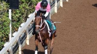 Top Hat Tangoの2022(ジェバーダ)など、先週のゲート試験/栗東トレセンニュース