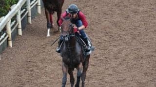 デルアヴァーなど、先週の入厩情報/栗東トレセンニュース