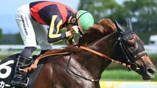 “イクイノックス撃破馬”の半妹が秋華賞に参戦 兄に続くGI制覇なるか