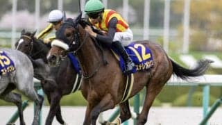 【秋華賞予想オッズ】ステレンボッシュが予想1番人気