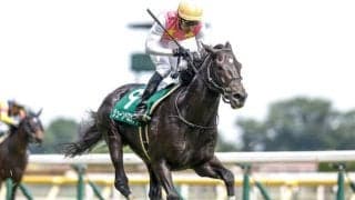 【東京HJ予想オッズ】ジューンベロシティが予想1番人気