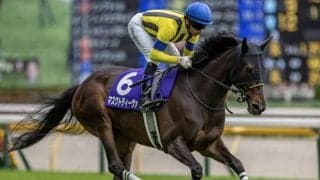 【府中牝馬S予想オッズ】マスクトディーヴァが予想1番人気