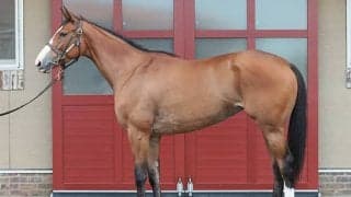 オークス馬が“一段階パワーアップ” 秋華賞制覇へ仕上がりも文句なし