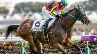 年に数回しかない“レアな距離”調べてみた 今週は「平場の東京芝2500m」