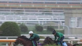 ベラジオオペラ、天皇賞(秋)2週前追い切り速報/栗東トレセンニュース