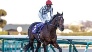 【天皇賞(秋)想定】ドウデュース、リバティアイランドなど11頭