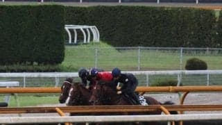 ドウデュース、天皇賞(秋)2週前追い切り速報/栗東トレセンニュース