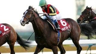 日本調教馬初のメルボルンC覇者デルタブルースが蹄葉炎のため死亡 23歳