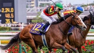 C.ルメール騎手が秋華賞6年ぶりVへ オークス馬とのタッグで参戦