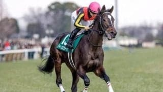 大幅記録更新でレース史に名を刻むか クイーンズウォークが秋華賞最高馬体重V＆GI初制覇狙う