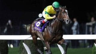 【川崎・鎌倉記念結果】ベアバッキューンが大差圧勝で無傷4連勝！