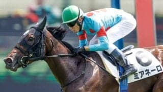 【秋華賞予想】AIが選ぶちょうど良い塩梅の一頭!? 直近のパフォーマンスと枠がファクターに