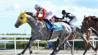 【YJS笠松】田口貫太が連勝