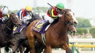 秋華賞の血統分析　圧倒的実績のキングカメハメハの血を持つ６頭のうち特に期待の２頭は？