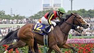 秋華賞は、桜花賞馬ステレンボッシュとオークス馬チェルヴィニアのどっちに分があるか？