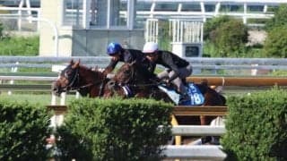 ダノンデサイル、菊花賞1週前追い切り速報/栗東トレセンニュース